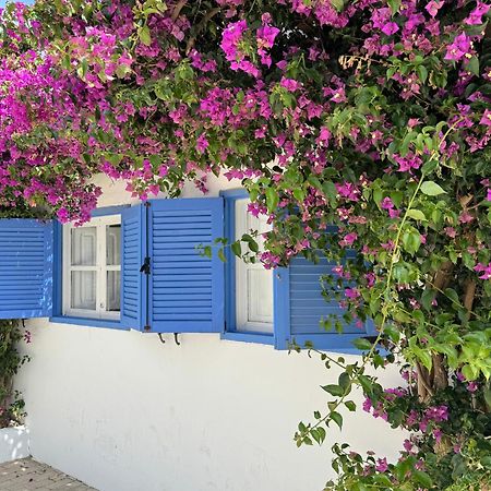 Casa Mellis Aguamarga Apartment อากัวอามาร์กา ภายนอก รูปภาพ