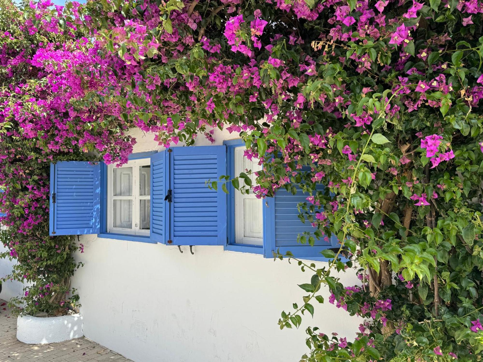 Casa Mellis Aguamarga Apartment อากัวอามาร์กา ภายนอก รูปภาพ